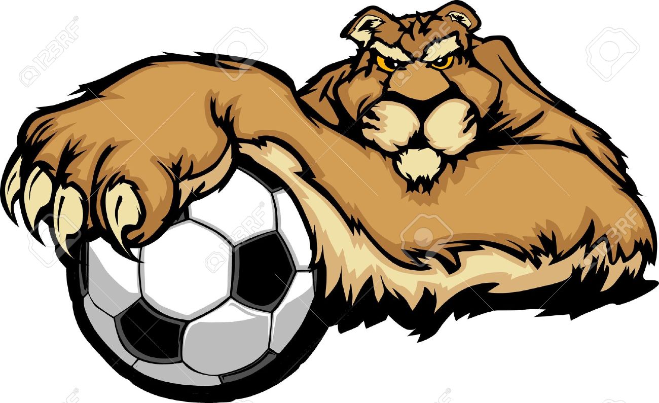 1300x795 Top 82 Cougar Clip Art