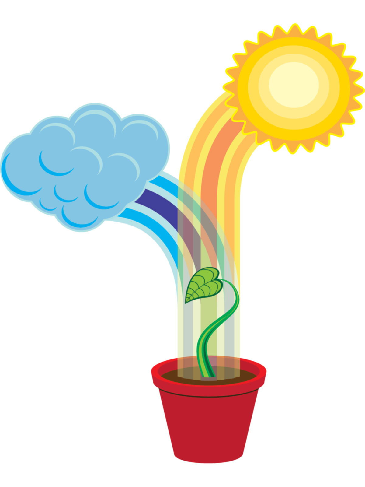 1200x1600 Bio Clipart Cover Page