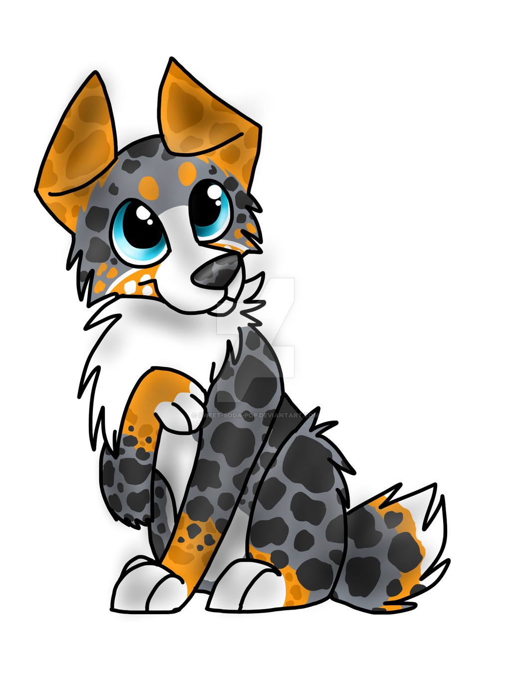 1024x1365 Australian Shepherd By Sweet Soda Pop