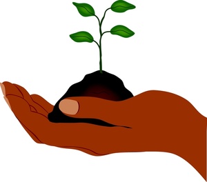 300x264 Gardening Clipart Image