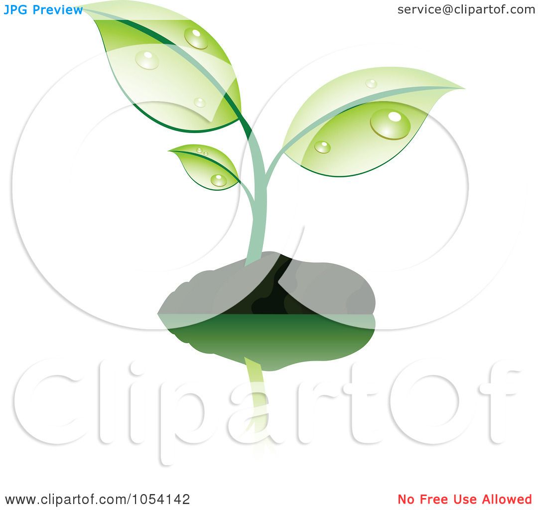 1080x1024 Royalty Free Vector Clip Art Illustration Of A Dewy Green Plant