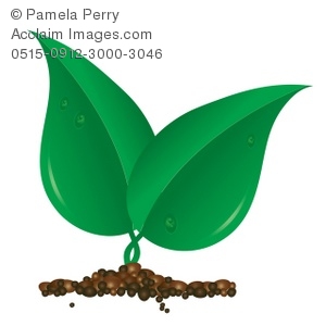 300x300 Clip Art Illustration Of Leaves And Soil Business Logo Element