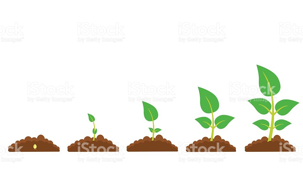 1024x640 Soil Clipart Plant Growth