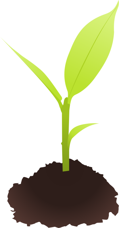 419x800 Soil Clipart Tree Sprout