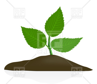 400x347 Young Plant In Dark Soil Royalty Free Vector Clip Art Image