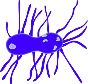300x287 Free Bacteria Clipart Image 0515 1004 0904 2529 Computer Clipart