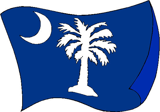 520x364 Carolina Flag