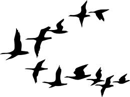 259x194 Geese Flying South Clip Art