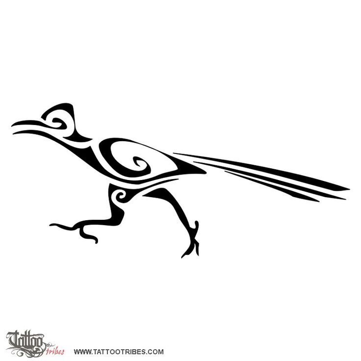 736x736 Roadrunner 0 Images About Southwest Clipart On Stencils