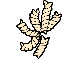 320x240 Download Pasta Clip Art Free Clipart Of Spaghetti 6