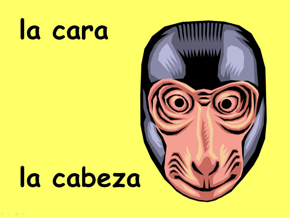 1000x752 Spanish Body Parts Clipart
