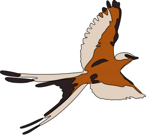 300x279 House Sparrow Clip Art Download