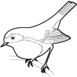 Collection of Sparrow clipart | Free download best Sparrow clipart on ...