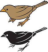 157x170 Sparrow Clip Art