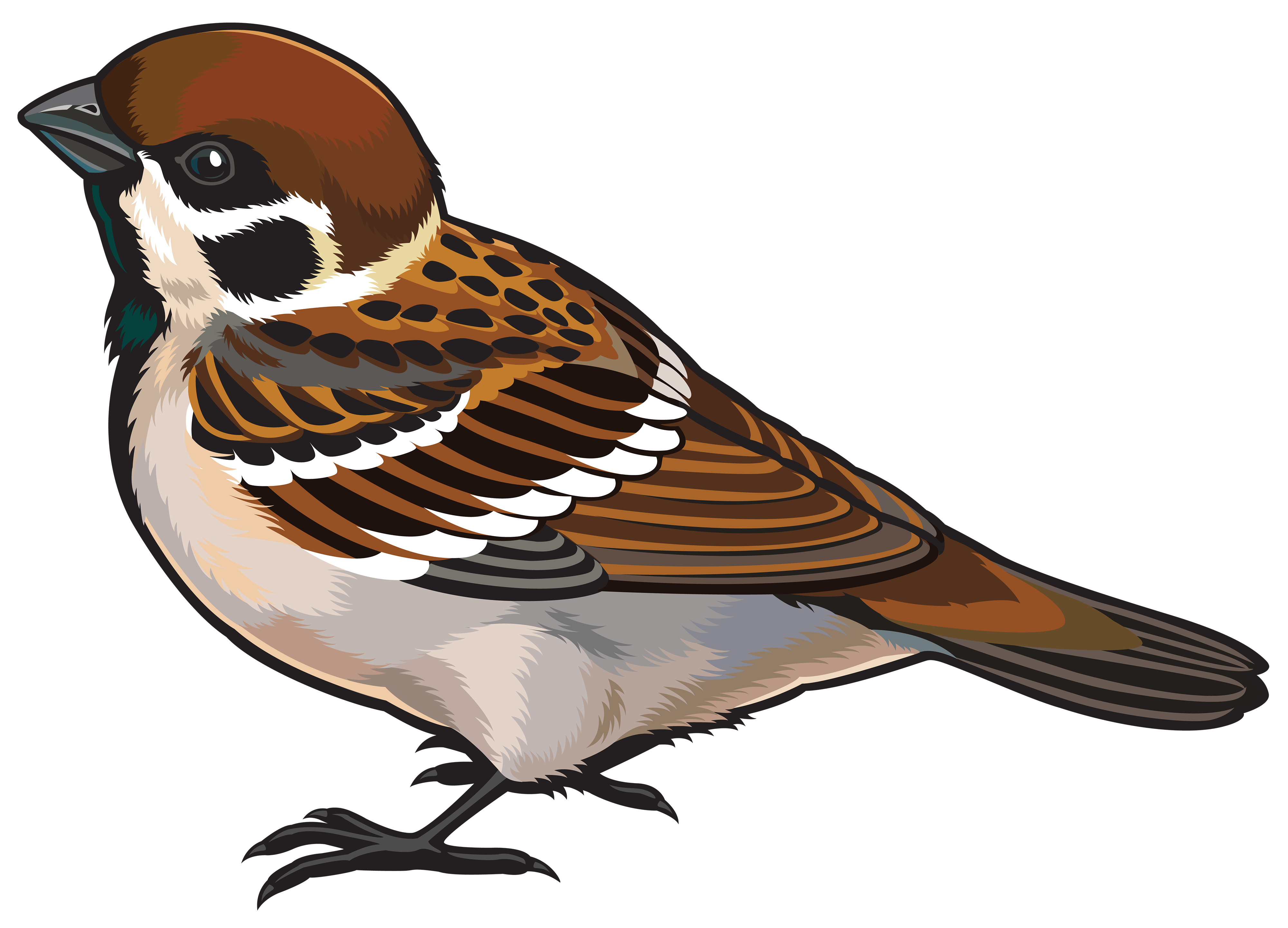 4000x2882 Sparrow Png Clipart