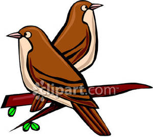 300x270 Sparrow Clipart Cartoon