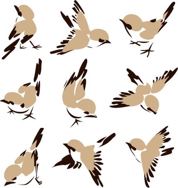 570x600 Sparrow Free Vector Download (39 Free Vector) For Commercial Use