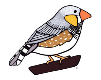340x270 Top 87 Finch Clip Art