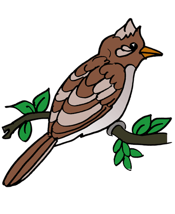 360x440 Top 97 Nightingale Clipart