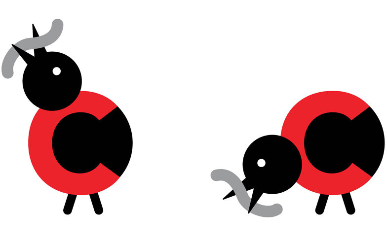 784x495 Crikey Worm Government Slashes Environment Spending