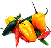 179x171 Spicy Food Burns More Calories Weight Loss Nutrition