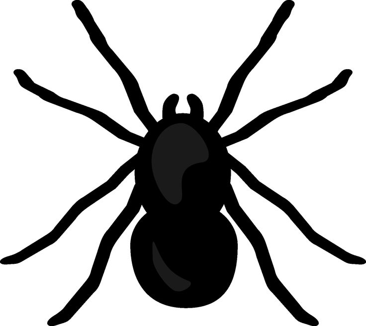 736x656 Spider Clipart Printable