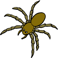 200x200 Top 69 Spider Clip Art