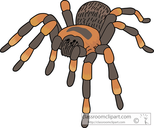 500x415 Top Spider Monkey Clip Art Clipart Blog