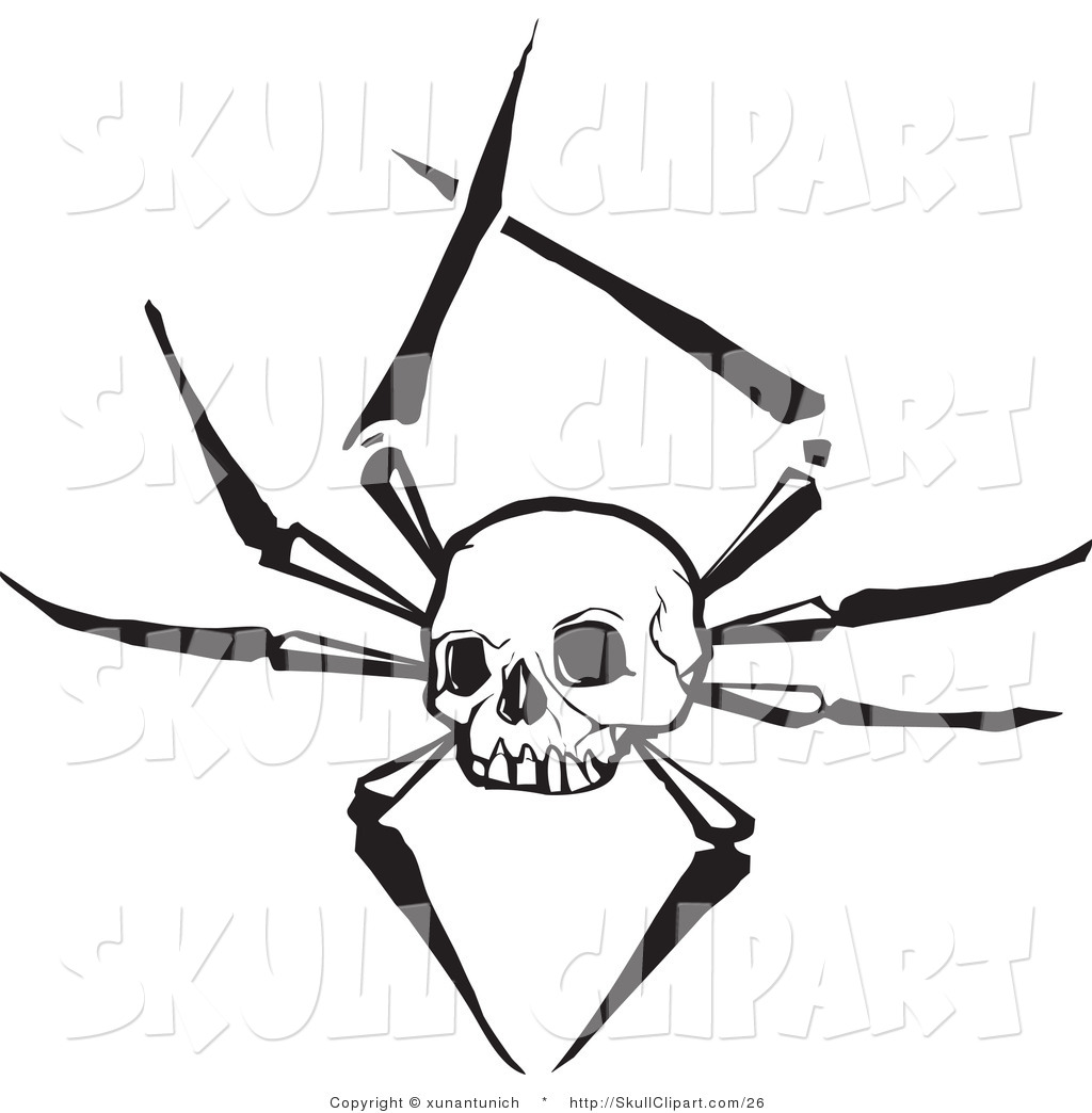 1024x1044 Skull Spider Clipart, Explore Pictures