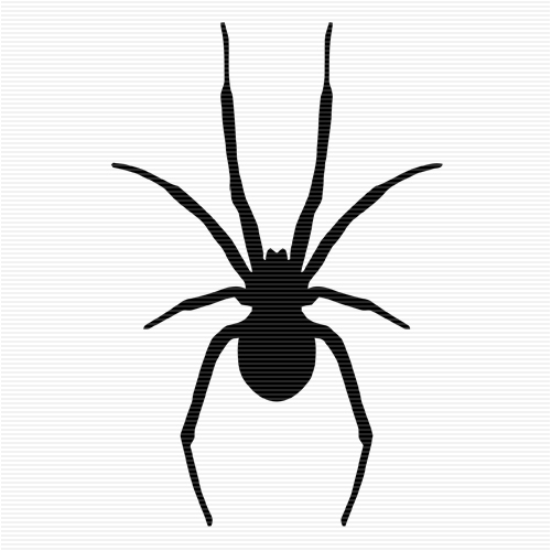 500x500 Spider Clipart Black And White