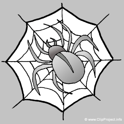 400x400 Spider Clip Art