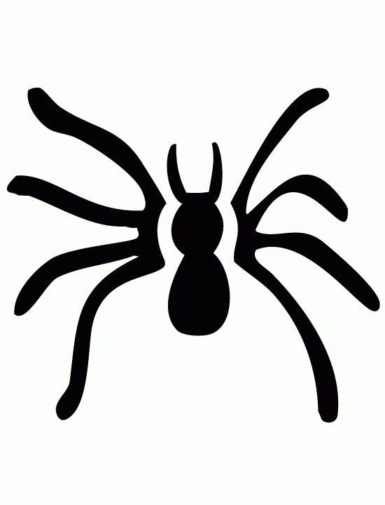 550x720 Spider Clipart Pumpkin Stencil