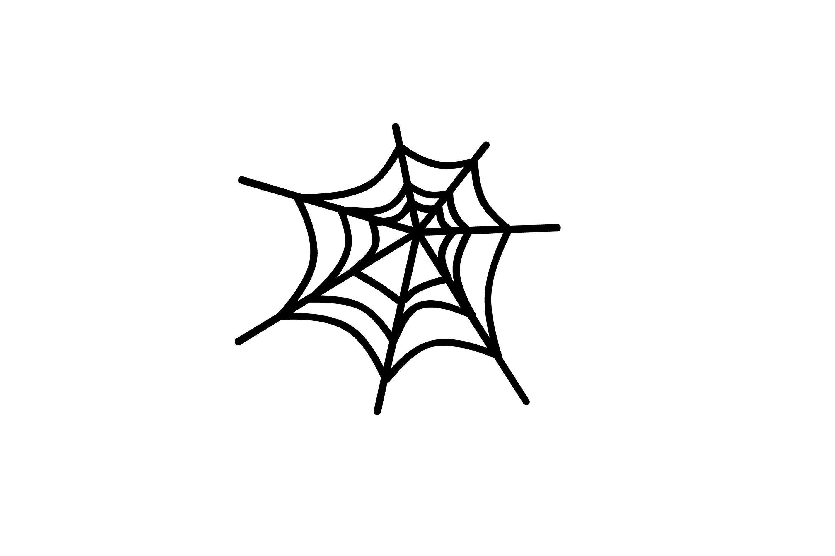 2850x1900 Spider Web Clipart Free To Use Clip Art Resource 2
