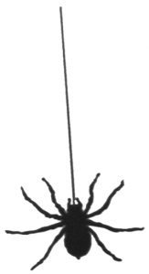 163x300 Hanging Spider Clipart Clipart Panda