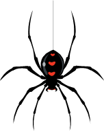 152x191 Bob's Basement All Spiders Must Die