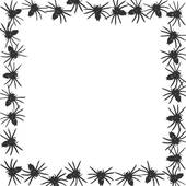 170x170 Spider Border