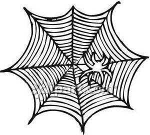 300x270 Spider On A Web In Black And White