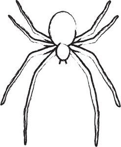 247x300 Black And White Spider In A Web Clip Art Black And White Spider