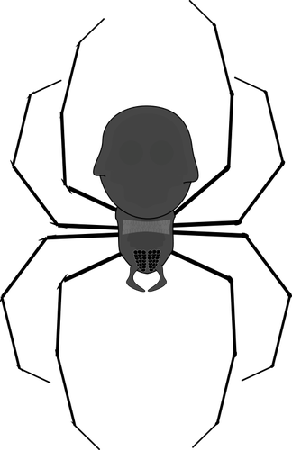 324x500 969 Spider Web Clip Art Public Domain Vectors