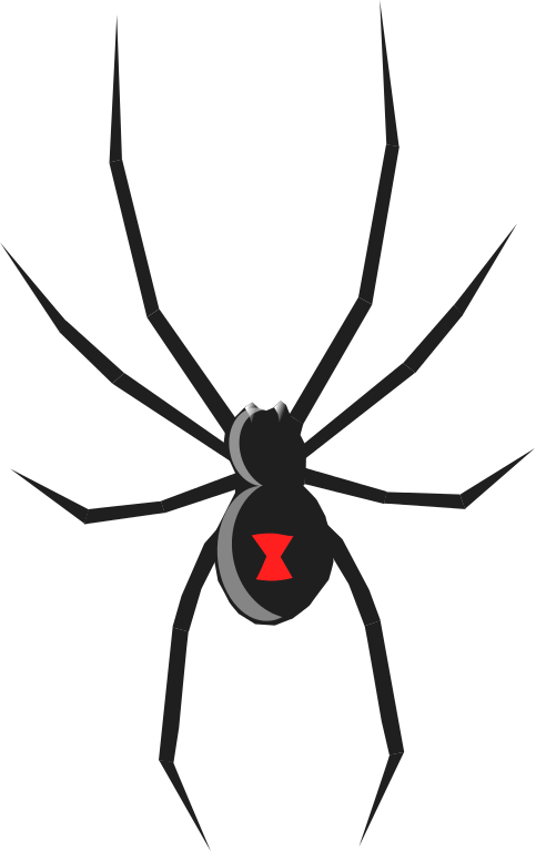 483x767 Top 75 Spider Clipart