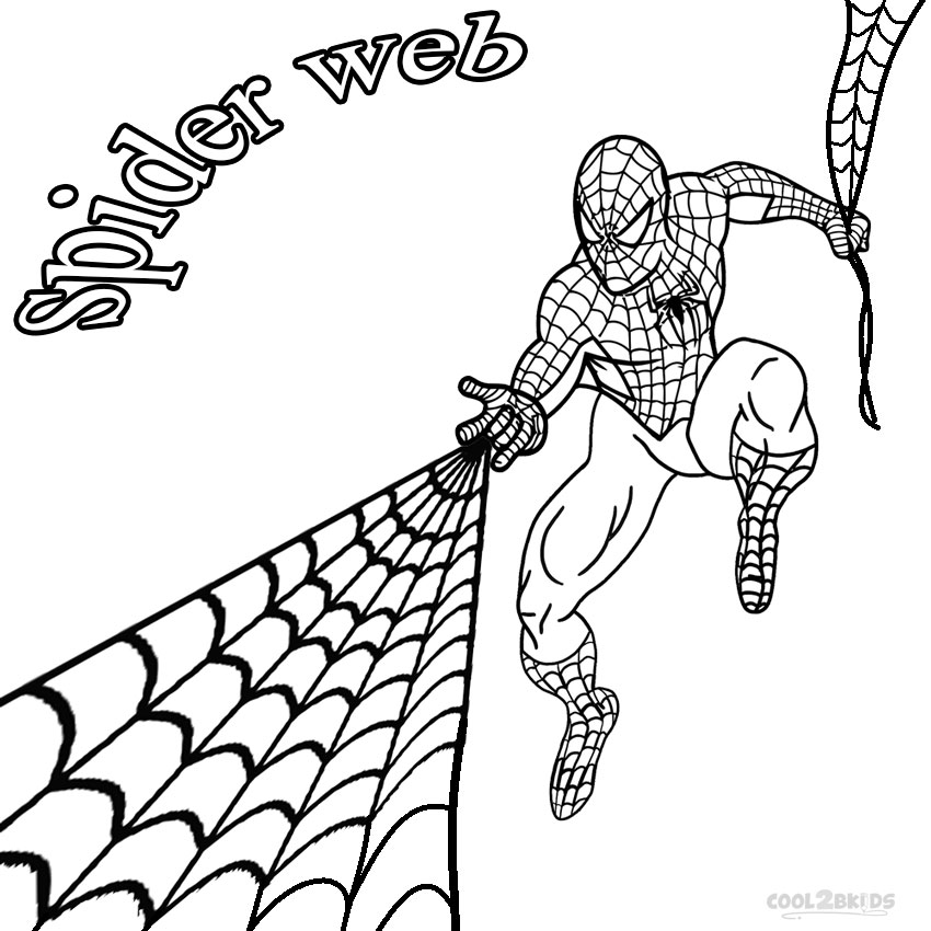850x850 Printable Spider Web Coloring Pages For Kids Cool2bkids