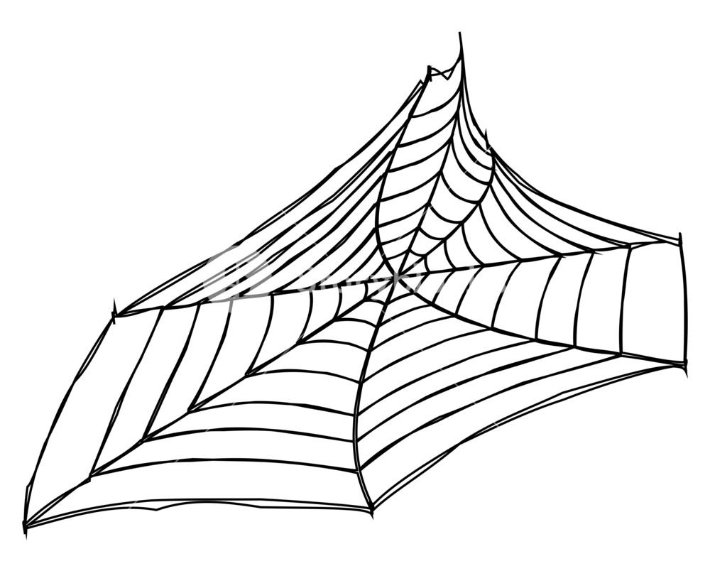 1000x797 Spider Web Art Design Royalty Free Stock Image