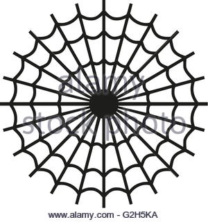 300x320 Isolated Spider Vector Logo. Insect Illustration. Arachnophobia
