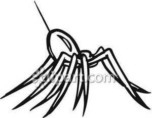 300x233 Of A Spider Hanging From A Web