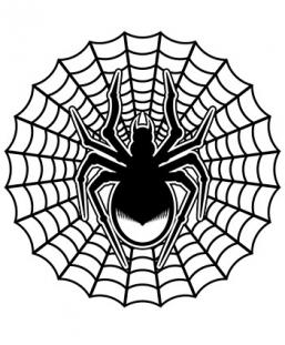 257x311 Spider Web Tattoo Designs Lovetoknow