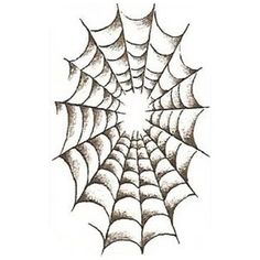 236x236 Spiderweb Drawing