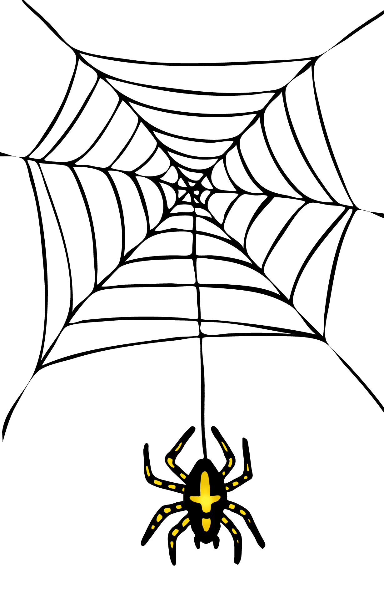 1229x1883 Halloween Spider Transparent Png Png Mart