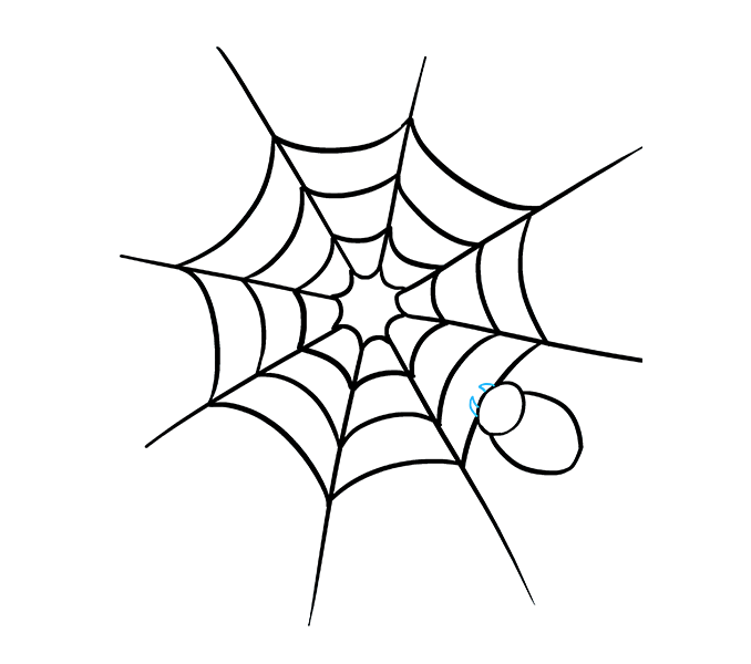 678x600 How To Draw How To Draw A Spider Web With Spider In A Few Easy