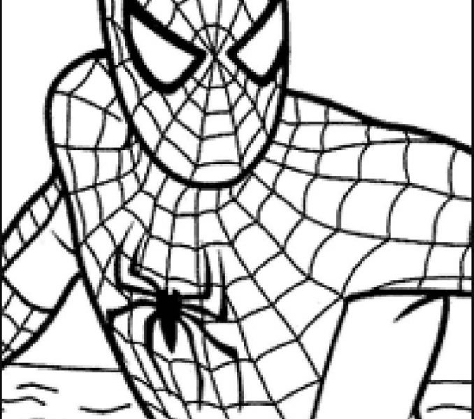 Spiderman Coloring Pages | Free download on ClipArtMag