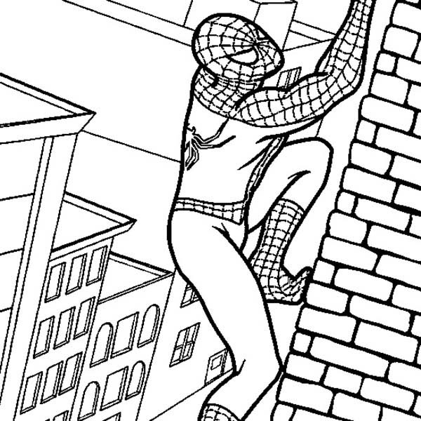 600x600 Spiderman Climbing Side Of Wall Coloring Page Spiderman Climbing